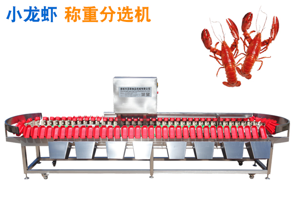 小龍蝦稱重分選機(jī) 小龍蝦重量分選機(jī) 龍蝦分揀機(jī) 龍蝦分級機(jī) 小龍蝦克選機(jī)